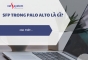 Tìm hiểu về module quang SFP trong Palo Alto là gì? 